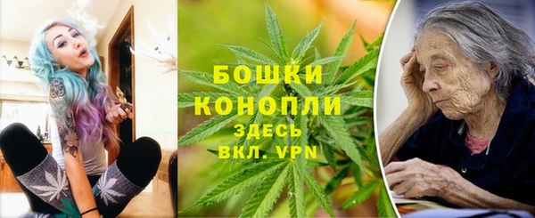 mdpv Волоколамск