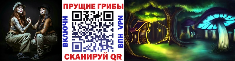 Псилоцибиновые грибы мицелий  где можно купить наркотик  Железногорск 
