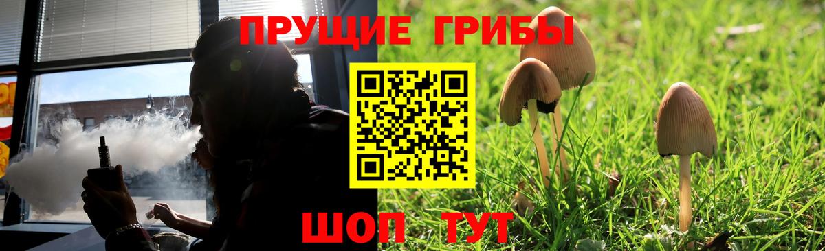Псилоцибиновые грибы ЛСД  Вход с VPN  Железногорск  продажа наркотиков  Галлюциногенные грибы Psilocybe 